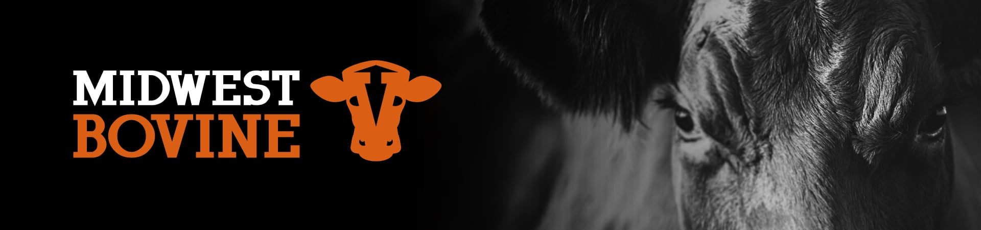 10-18-Bovine-Homepage-Banners_1920x450px